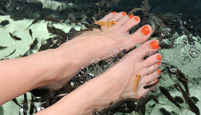 fish pedicure